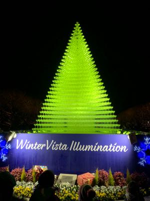 昭和記念公園のクリスマスイルミネーションはスゴい！［iPhone Xの試し撮りを兼ねて］