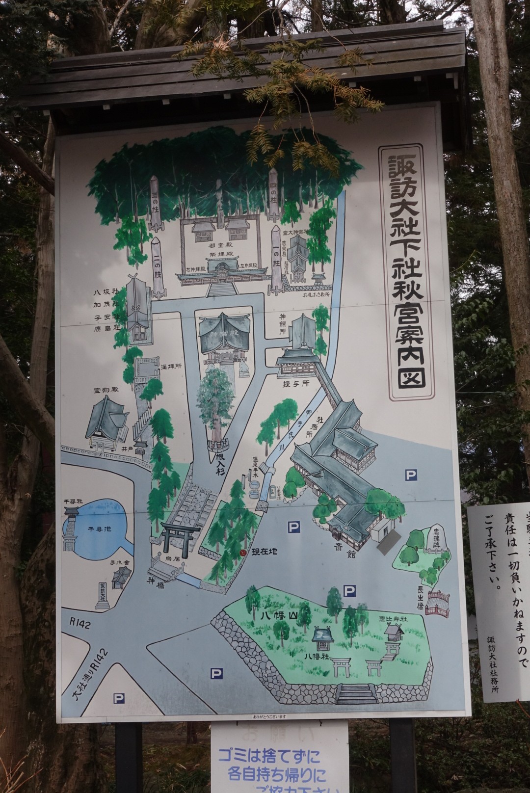 wp-1453298185982.jpg