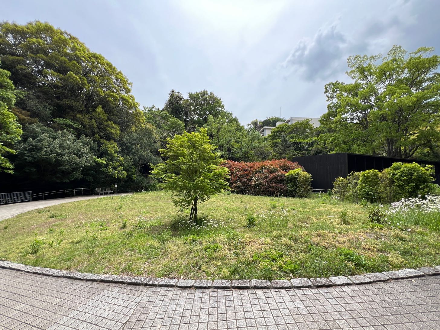 芝生広場とベンチ