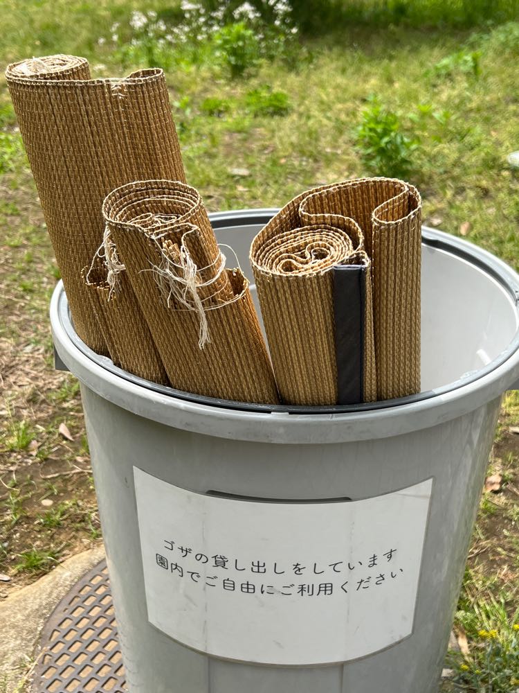 芝生広場に置かれたゴザ
