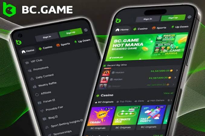 Unlocking the Secrets of the Bonus Code Hash Game